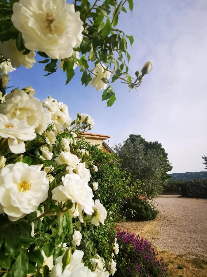 La Casa Dei Tigli Bed & Breakfast Cannara Luaran gambar