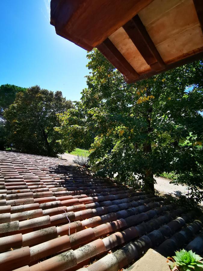La Casa Dei Tigli Bed & Breakfast Cannara Luaran gambar