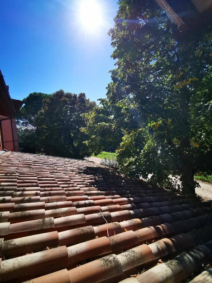 La Casa Dei Tigli Bed & Breakfast Cannara Luaran gambar